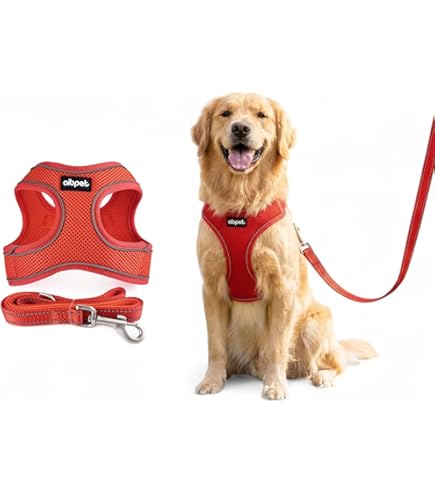 Amazon | AVIATORペットの鳥ハーネス: ミディアムブルー | The AVIATOR